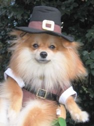 image.jpeg