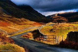 View+up+The+Struggle+in+the+Lake+District+on+an+Autumn+morning-Neil_Alexander-02.jpg