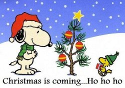 christmas is coming2-saidaonline.jpg