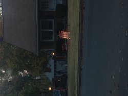 image.jpeg
