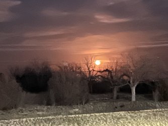 IMG_0853.jpeg