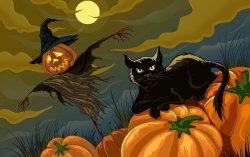 Black Cat.jpg