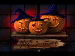 Pumpkin Hats.jpg