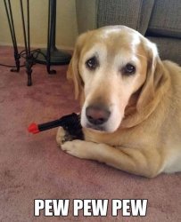 image.jpeg