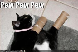 image.jpeg