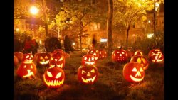 Pumpkins.jpg
