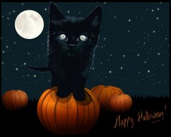 Black Cat.jpg