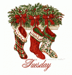 ChristmasStockingsTuesday.gif