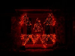 Lights.jpg