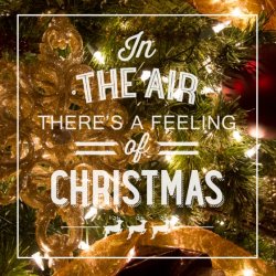feeling-of-christmas-sneak(pp_w560_h560).jpg