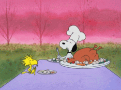 image.gif