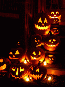 0a303d959ea4983d5513abcc46110388.gif