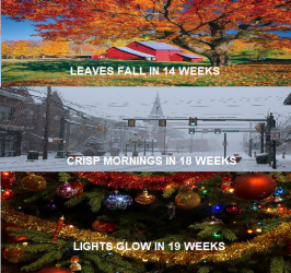 FALL COUNTDOWN MEME.png