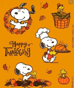 csnoopy-celebrates-thanksgiving-with-his-friends-5n86to0fabstoqjt.jpg