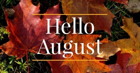 hello-august2.jpg