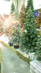 rps20151127_224254_587.jpg