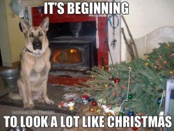 image.jpeg