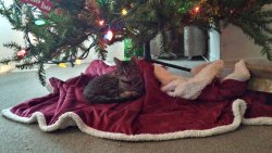 20151211_135714_Richtone(HDR).jpg