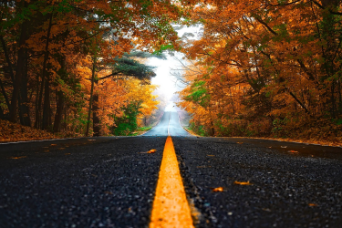 1755647959284.png