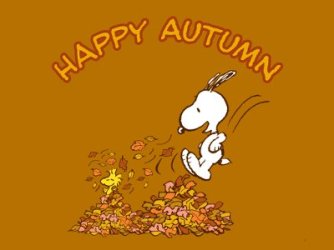 fall_1536527184.jpg