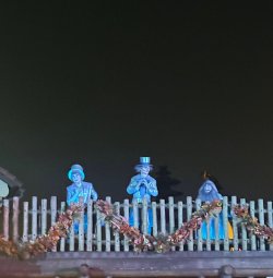 IMG_4273_Original.jpeg