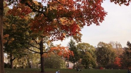 autumn345gsegrsekrthe5oijhedrt.jpg autumn345gsegrsekrthe5oijhedrt.jpg