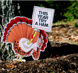 1764071306013.png 1764071306013.png