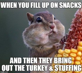 thanksgiving-memes-06-3398180149.jpg thanksgiving-memes-06-3398180149.jpg