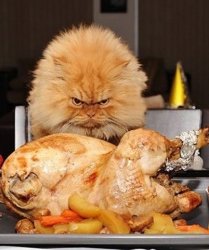 image.jpeg