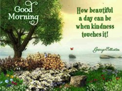 Christmas-and-Winter,-and-the-Beauty-of-Spring,-Summer-and-Fall.-311303189078511-63.jpg