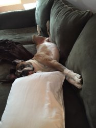 image.jpeg