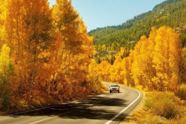 autumn43oewsrisgdfgsdfgs.jpg autumn43oewsrisgdfgsdfgs.jpg