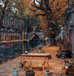 autumn345tweroiqergaosergnsdfg.jpg autumn345tweroiqergaosergnsdfg.jpg