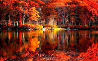 scenic-autumn-lake-1920x1200-jpg-3620897375.jpg