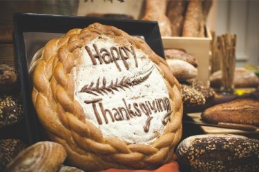 Shopify-Thankgiving-600x400_e931.jpg