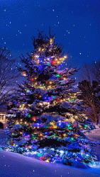 7ca0e5d8bc76f2937f23cd691751b9d8.gif