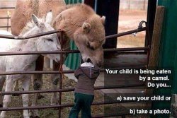 FB_IMG_1452406280653.jpg