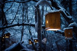 winter_evening_by_diacita-d4rnvgp.jpg