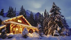 woods-christmas_00426775.jpg