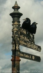 image.jpeg image.jpeg