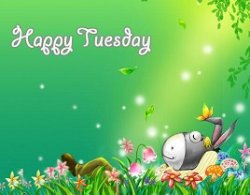 tuesday_066.jpg