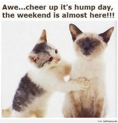 funny-christmas-funny-jokes-funny-quotes-funny-sayings-and-quotes-Favim.com-1103503.jpg