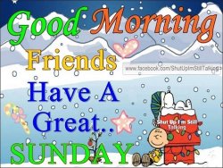 d3d1d209f77221fb734f0b49c0389dd9.jpg