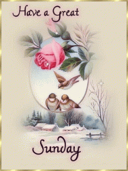 image.gif