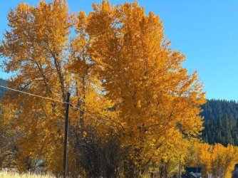 autumn34wergadogrnsdlrgnsd.jpg autumn34wergadogrnsdlrgnsd.jpg