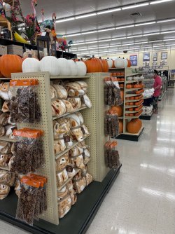 IMG_1388.jpeg