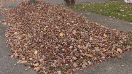 autumn1sdflsgkdfngsdfgsd.jpg