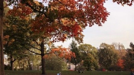 autumn345gsegrsekrthe5oijhedrt.jpg