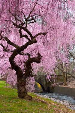 1782319580371.jpeg