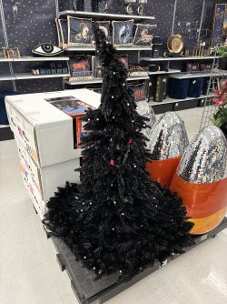 IMG_0115.jpeg IMG_0115.jpeg